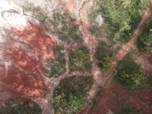 DJI_1671.JPG